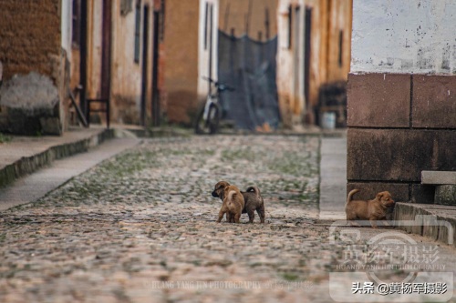 广东第一古巷南雄珠玑巷，凭一条巷子被认定为国家4A级景区，为啥