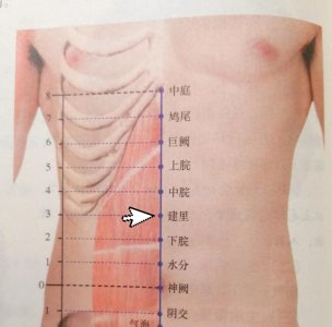 ​每日一穴——建里穴