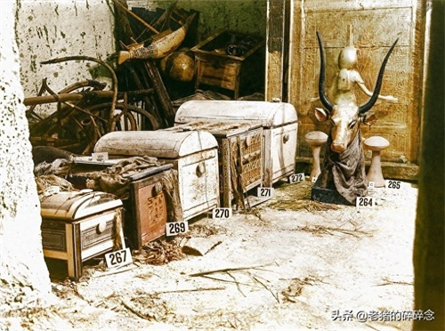 埃及金字塔内部的彩色老照片曝光,法老的宝贝遍地,图5是木乃伊