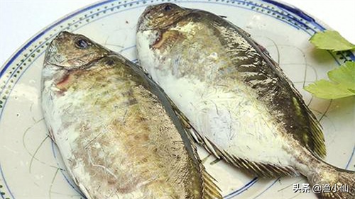 带点小毒的泥猛鱼，因味道鲜美依旧受众人喜欢，清蒸是最好的选择