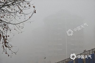 ​山东今夜至周末寒潮雨雪天气来袭 阵风可达8至9级局地有暴雪