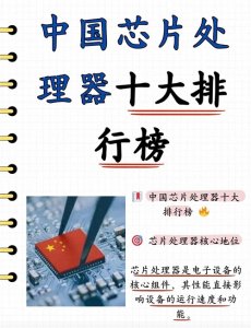 ​中国芯片处理器TOP 10榜单