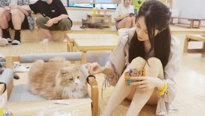 ​轩子巨2兔复播时间遥遥无期，究竟是被保护还是被封禁？