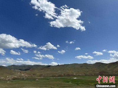 ​甘肃夏河畜牧业催开牧民“致富花”