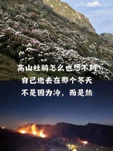 ​放火烧山，牢底坐穿！大牯牛山遭游客纵火 12人被处罚并让恢复植被