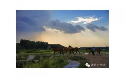 ​最近好看的日剧？最近好看的日剧推荐一下