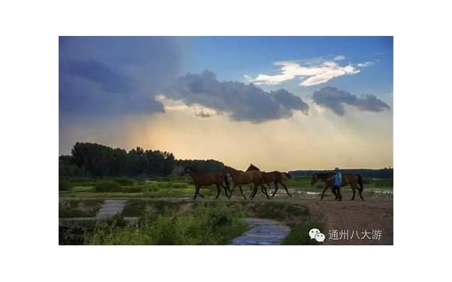 最近好看的日剧?最近好看的日剧推荐一下 最近好看的日剧?最近好看的日剧推荐一下