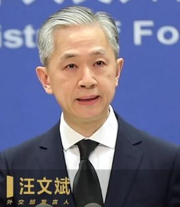 ​汪文斌带黑色领带的含义