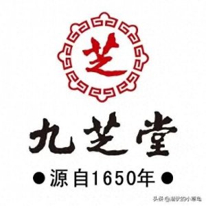 ​老字号九芝堂公司介绍