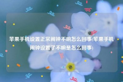 苹果手机设置正常闹钟不响怎么回事(苹果手机闹钟设置了不响是怎么回事)