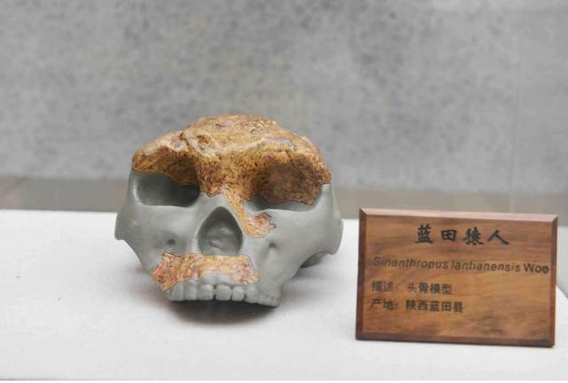 山海经有什么奇花异草（胆小勿入这些人头骨）(4)