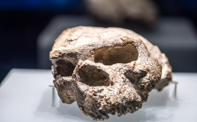 山海经有什么奇花异草（胆小勿入这些人头骨）(2)