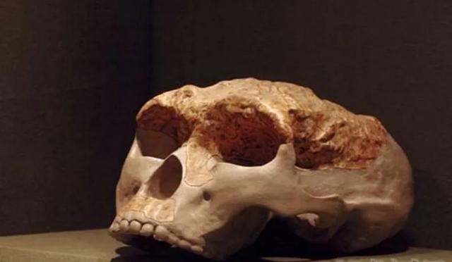 山海经有什么奇花异草（胆小勿入这些人头骨）(7)