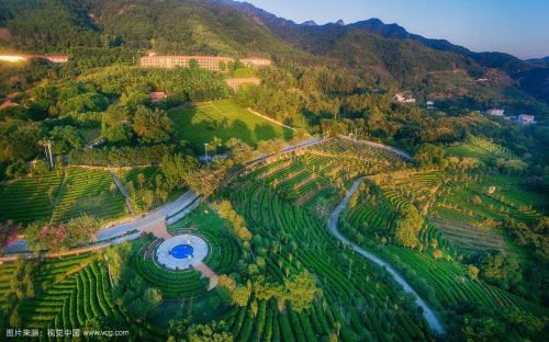 梅县雁南飞茶田度假村案例分析(梅县雁南飞茶田度假村气候)-第1张图片-
