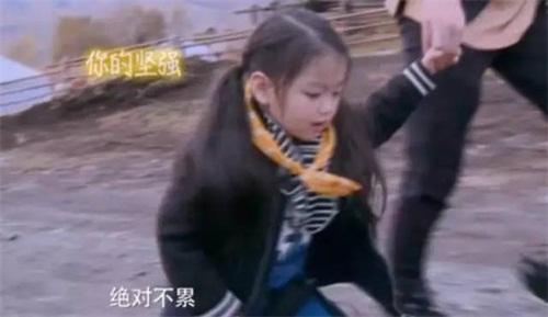 爸爸去哪儿第五季董力阿拉蕾回归(爸爸去哪儿4阿拉蕾圈粉原因是她花痴)(9)