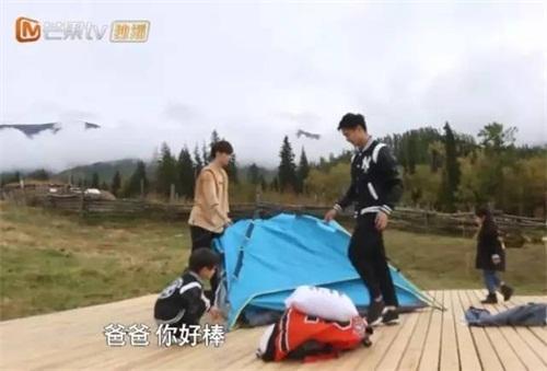 爸爸去哪儿第五季董力阿拉蕾回归(爸爸去哪儿4阿拉蕾圈粉原因是她花痴)(6)