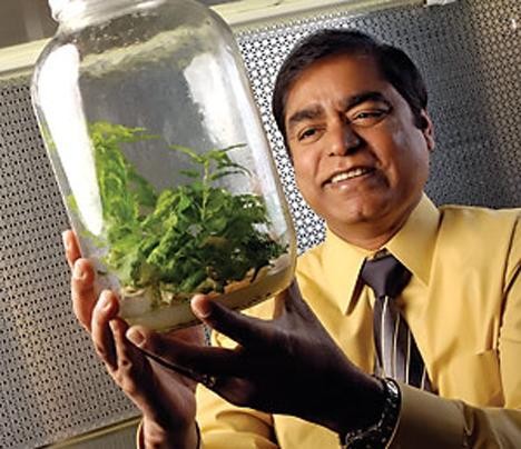 各种转基因生物（十大奇异的转基因生物）(10)