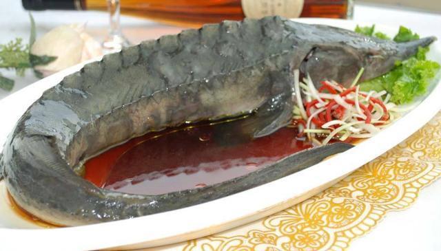 鲟鱼5种最好吃的做法，简单美味又下饭，看看你喜欢吃哪种？