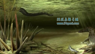 古杯蛇是什么蛇 出现于古新世至渐新世的一种古海蛇