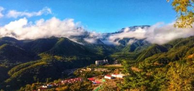 ​景区资讯 | 青峰峡国家森林公园开园公告