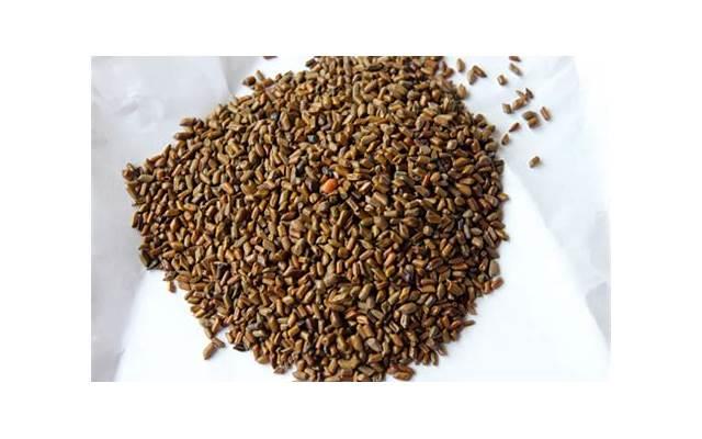 婚姻遭遇外遇风波：挽回妻子的实用建议