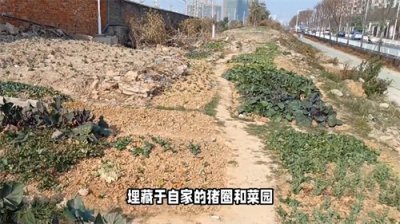 ​陕西商洛惊天连环杀人案，龙家夫妇恶魔行为曝光