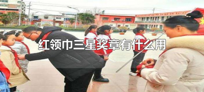 红领巾三星奖章有什么用（三星红领巾奖章有什么作用）