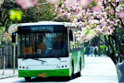 ​青岛公交214路6月23日起优化调整