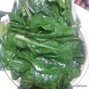 农村有种猪婆菜，能做出一道童年美味，你吃过吗？