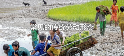 ​常见的传统劳动形态（常见的传统劳动形态包括哪些）