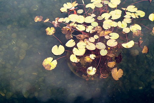 上善若水是什么意思