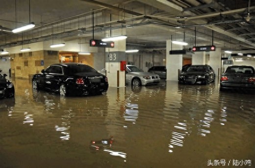 不老男神林志颖的11辆豪华座驾,辆辆都是名车,价格不低啊!