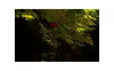 处女座——谨慎的调和师